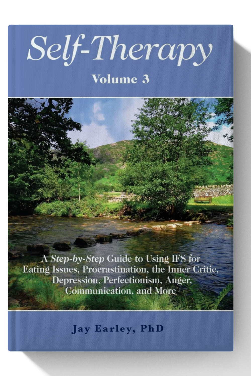 Self-Therapy, Vol. 3: A Step-by-Step Guide to Using IFS for Eating Issues, Procrastination, the Inner Critic, Depression, Perfectionism, Anger, Communication, and More
