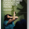 Adverse Childhood Experiences and Serious Youth Violence