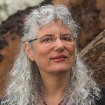 Robin Shapiro, LISW