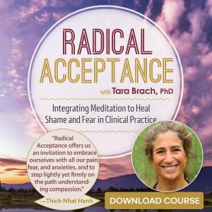 Radical Acceptance: Integrating Meditation to Heal Shame and Fear in Clinical Practice