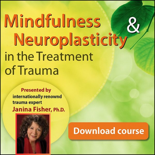 Mindfulness and Neuroplasticity in the Treatment of Trauma