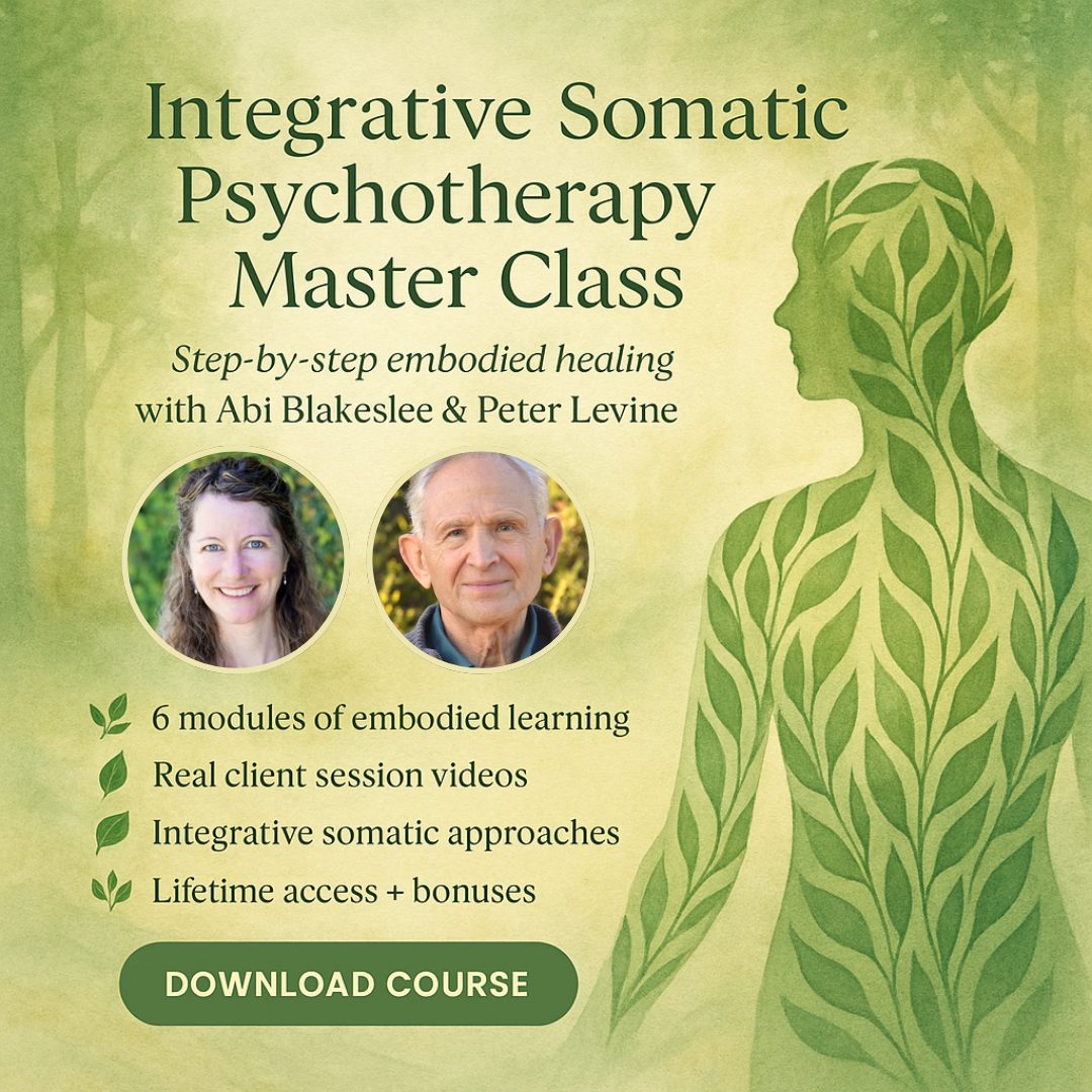 Integrative Somatic Psychotherapy Master Class