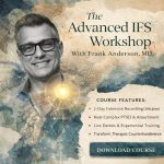 2-Day Advanced Workshop: Clinical Applications of Internal Family Systems (IFS)