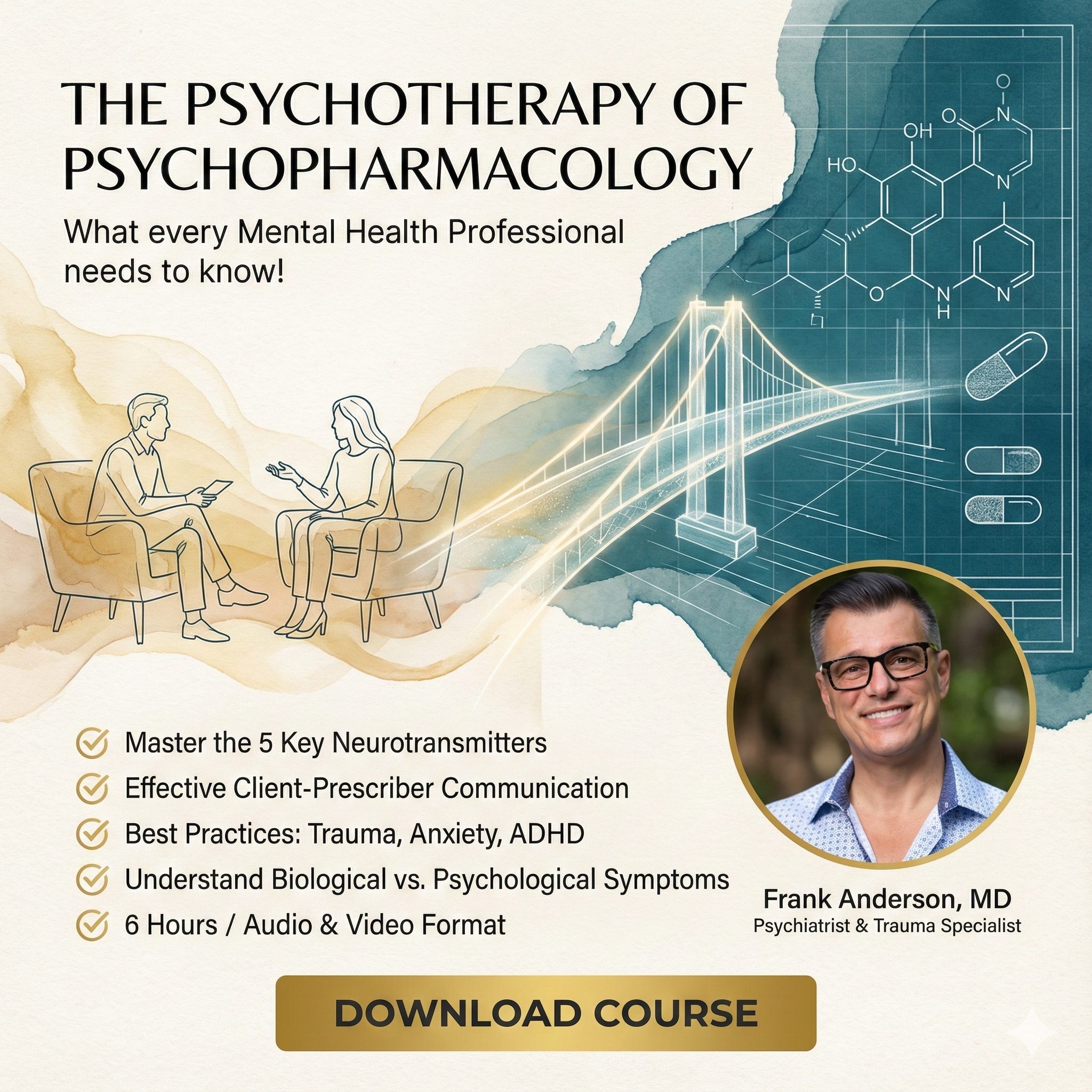 Frank Anderson – The Psychotherapy of Psychopharmacology: What every Mental Health Professional needs to know